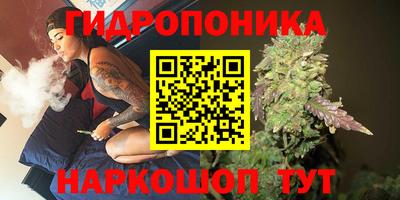 прущий лед Кингисепп